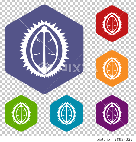 Durian fruit icons set 28954323