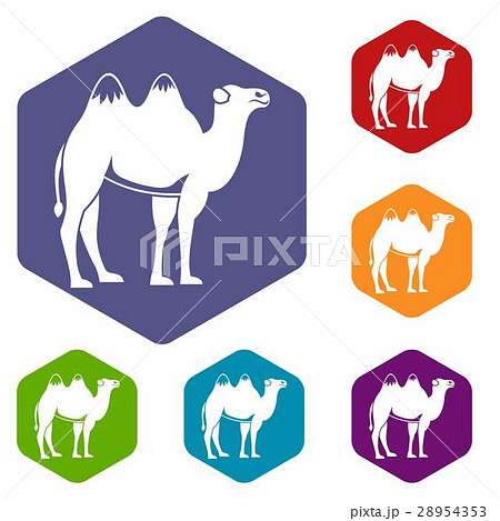 Camel icons set 28954353