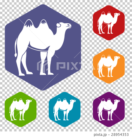 Camel icons set 28954353