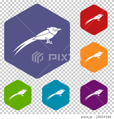 Asian paradise flycatcher icons set 28954398