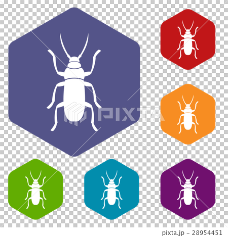 Beetle bug icons set 28954451