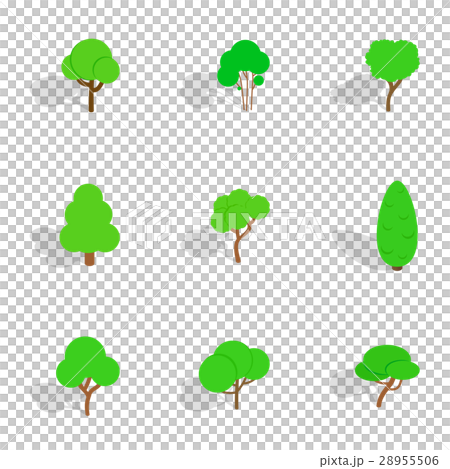 3d tree icon