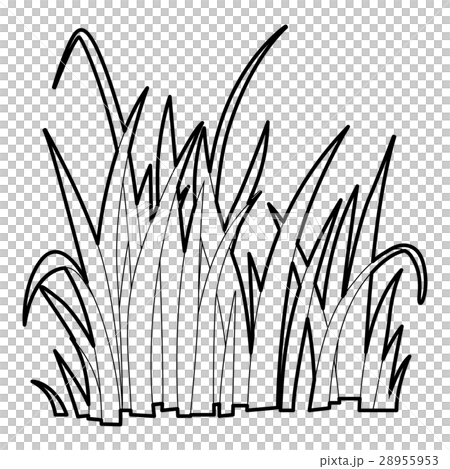 grass outline