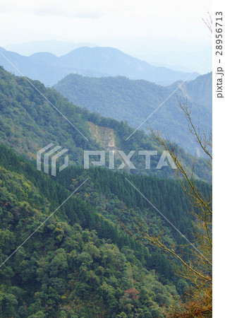 山背景 山の風景 林 28956713