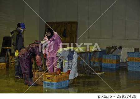 日本の漁業 イメージ 28957429