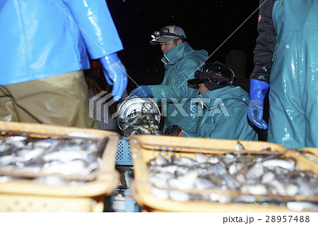 深夜に働く漁師たち 28957488
