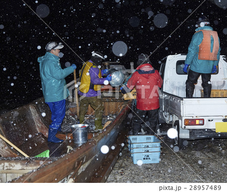 深夜に働く漁師たち 28957489