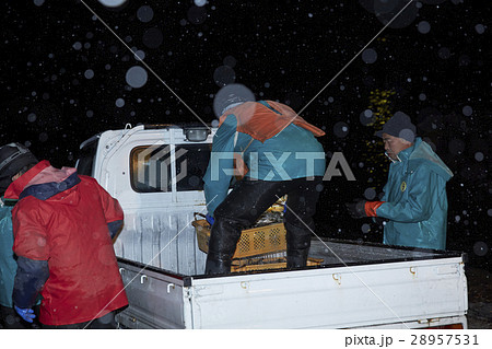 深夜に働く漁師たち 深夜に働く漁師たち 28957531