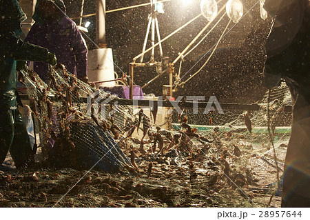 日本の漁業 イメージ 28957644