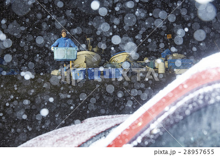 夜の漁港 夜の漁港 28957655