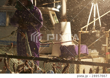 日本の漁業 イメージ 28957667