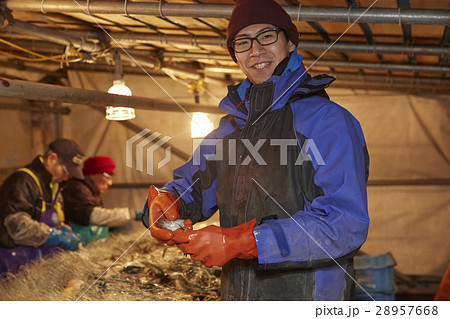 漁師 ポートレート 漁師 ポートレート 28957668