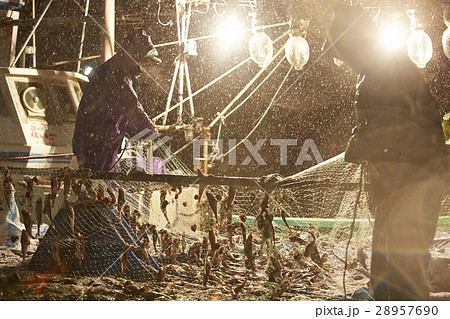 深夜に働く漁師たち 深夜に働く漁師たち 28957690