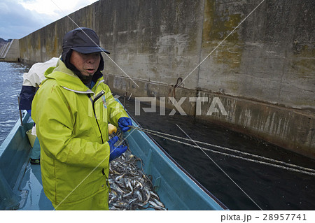 漁師　ポートレート 28957741