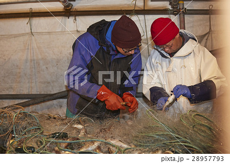 魚市場で働く男性 28957793