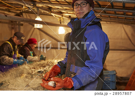 漁師　ポートレート 28957807