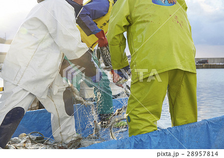 働く漁師たち 働く漁師たち 28957814