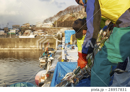 働く漁師たち 28957831