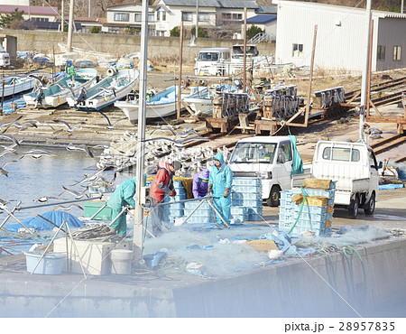 昼の漁港 28957835