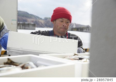 魚市場で働く男性 28957845