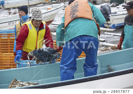 働く漁師たち 28957877