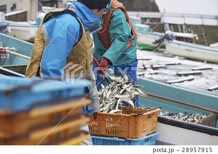 働く漁師たち 28957915