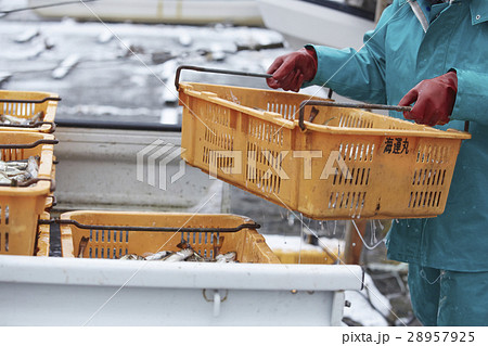 日本の漁業 イメージ 28957925