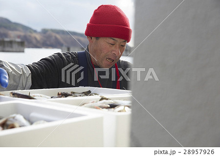 魚市場で働く男性 28957926
