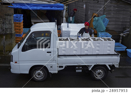 日本の漁業 イメージ 日本の漁業 イメージ 28957953