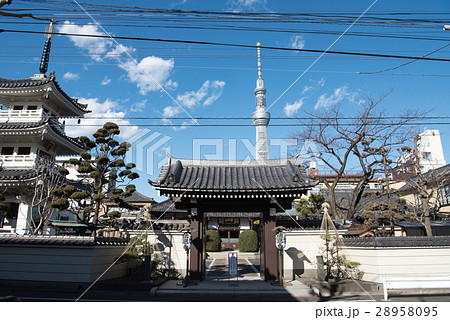 墨田区法恩寺 28958095