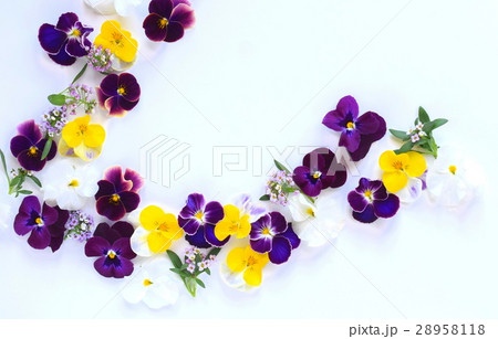春の花の花びら、白背景、カラフル 28958118