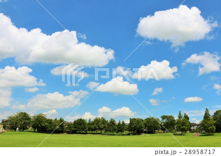 夏の青空と街の公園 28958717