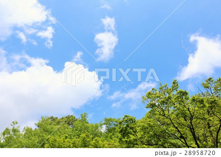 初夏の青空と新緑の風景 28958720