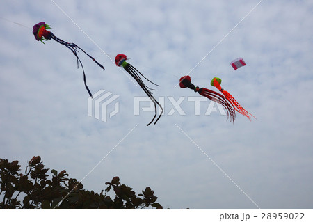 海沿い 海浜 公園 28959022