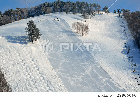 ゲレンデ 28960066
