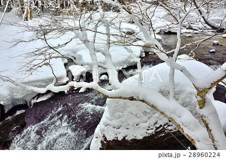 伏伸の滝周辺景 28960224