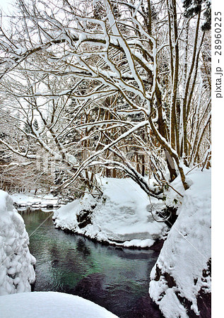 伏伸の滝周辺景 28960225