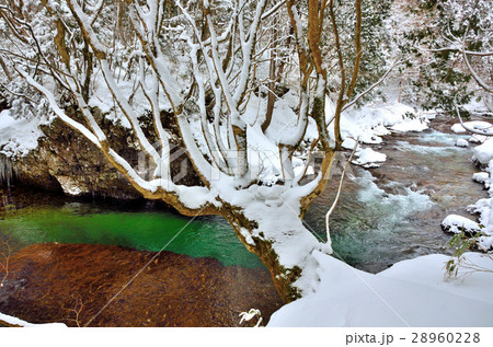 伏伸の滝周辺景 28960228