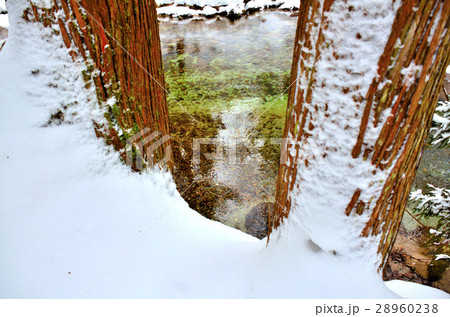 伏伸の滝周辺景 28960238