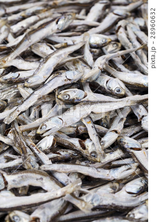 いりこ伊吹産大羽 28960632