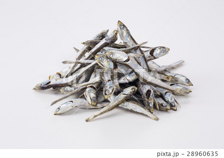 いりこ伊吹産大羽 28960635