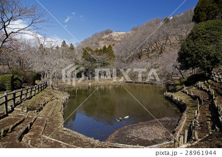 最明寺史跡公園(松田町) 最明寺史跡公園(松田町) 28961944