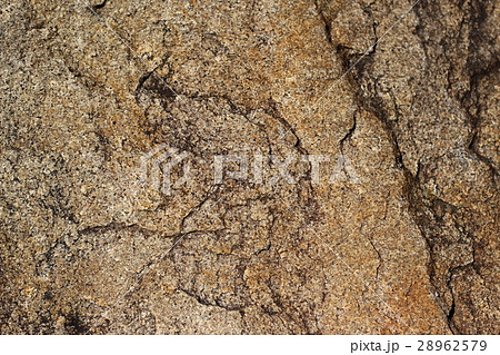 荒い岩肌 28962579