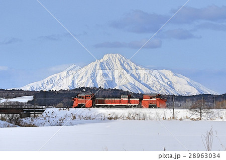 宗谷ラッセル 宗谷ラッセル 28963034