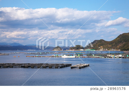 串本港のいかだ群 28963576