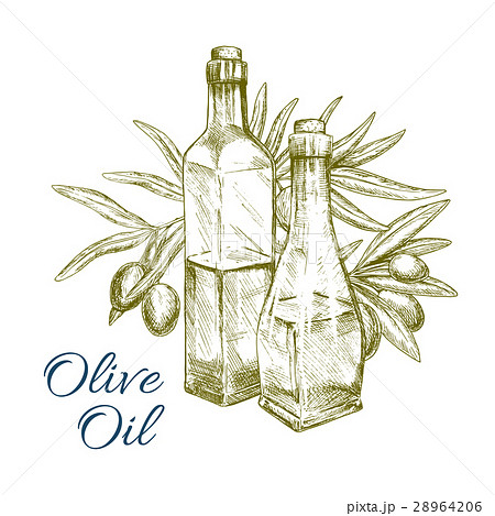 Olive oil and green olives branch vector sketch Olive oil and green olives branch vector sketch 28964206