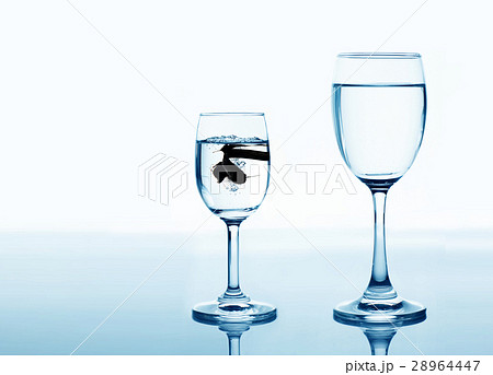 fish in drinking glass looking for rise  28964447