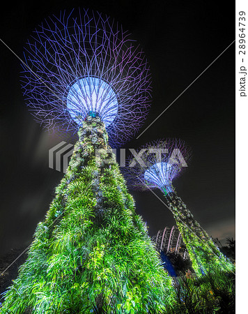 The Supertree, Singapore 28964739