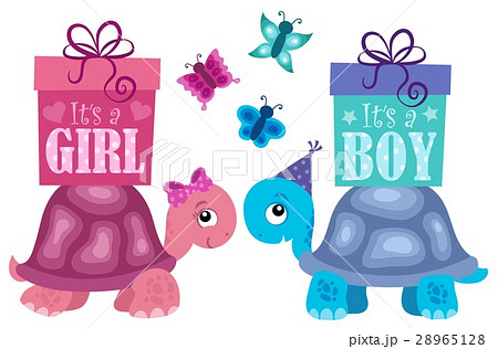 Is it a girl or boy topic 2 28965128