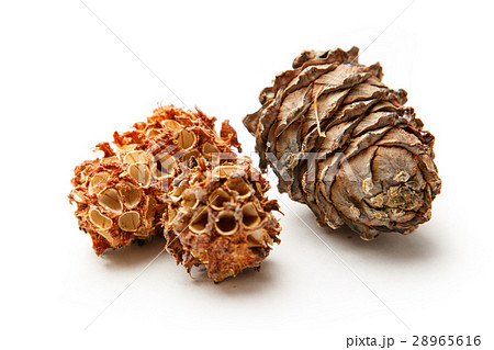 Pine cones 28965616
